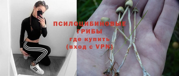 герыч Козельск