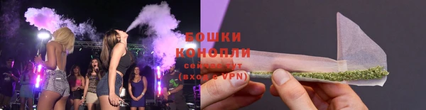 ПСИЛОЦИБИНОВЫЕ ГРИБЫ Коряжма