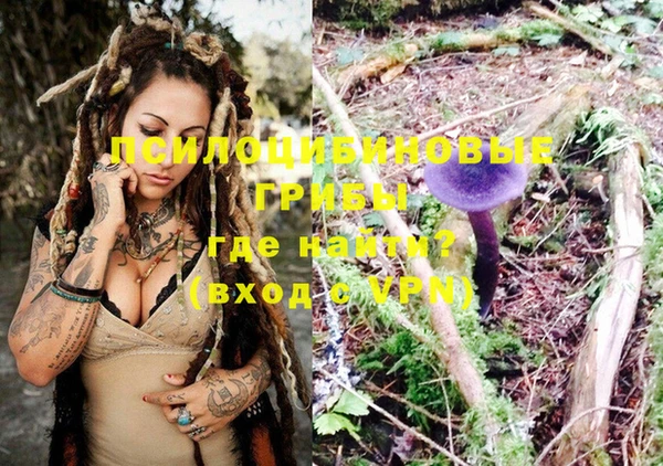 метамфетамин Козловка