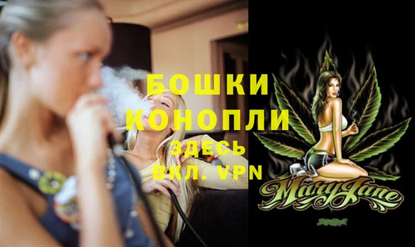 кокс Гатчина
