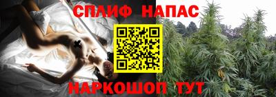 гидра Бузулук