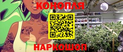 гидра Бузулук