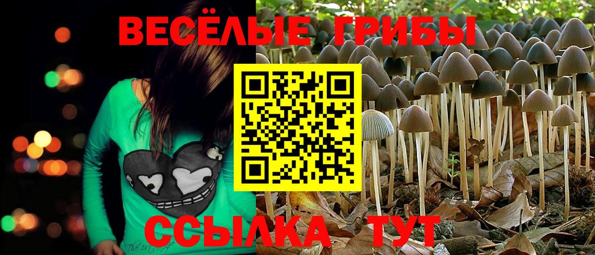МДМА  Красноармейск  ГАШИШ  Марихуана  Где продают наркотики?  Меф МЯУ МЯУ   Вход с VPN 
