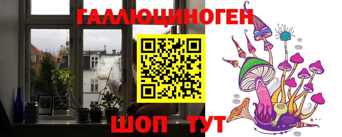 Псилоцибиновые грибы Cubensis  Псилоцибиновые грибы прущие грибы  Вход с VPN  Красноармейск 